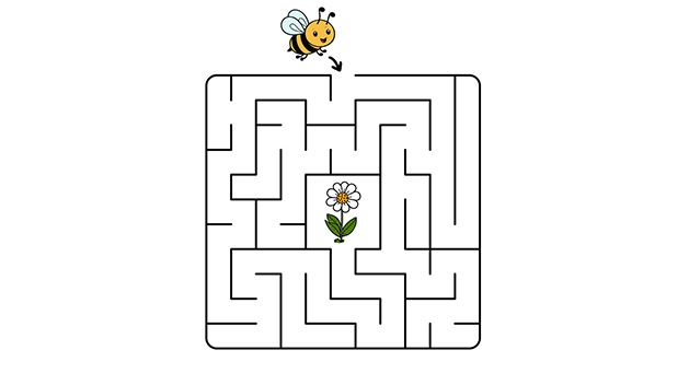Image of a bee maze