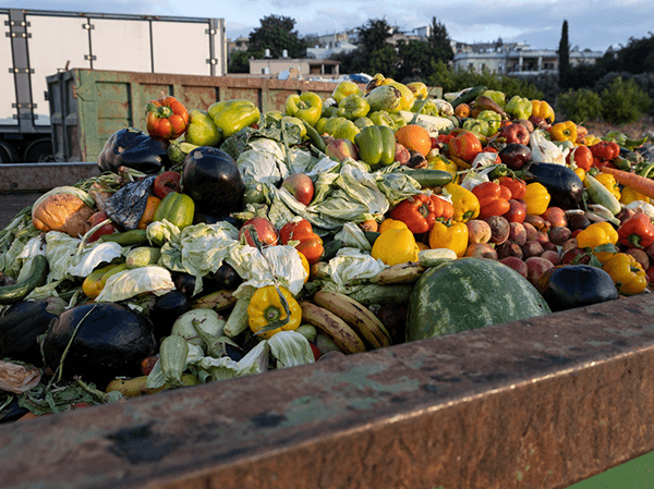 Image of food waste