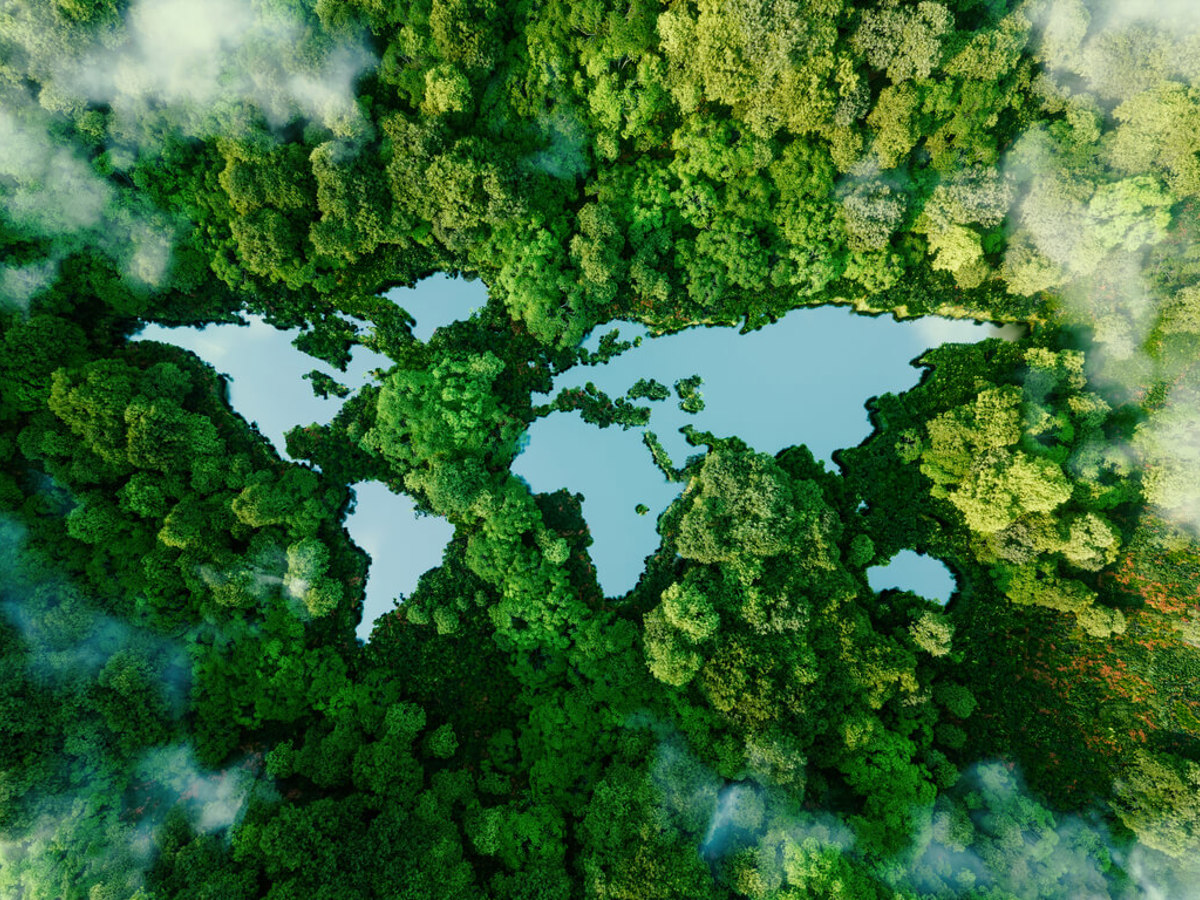 How are different areas regenerated? - Image