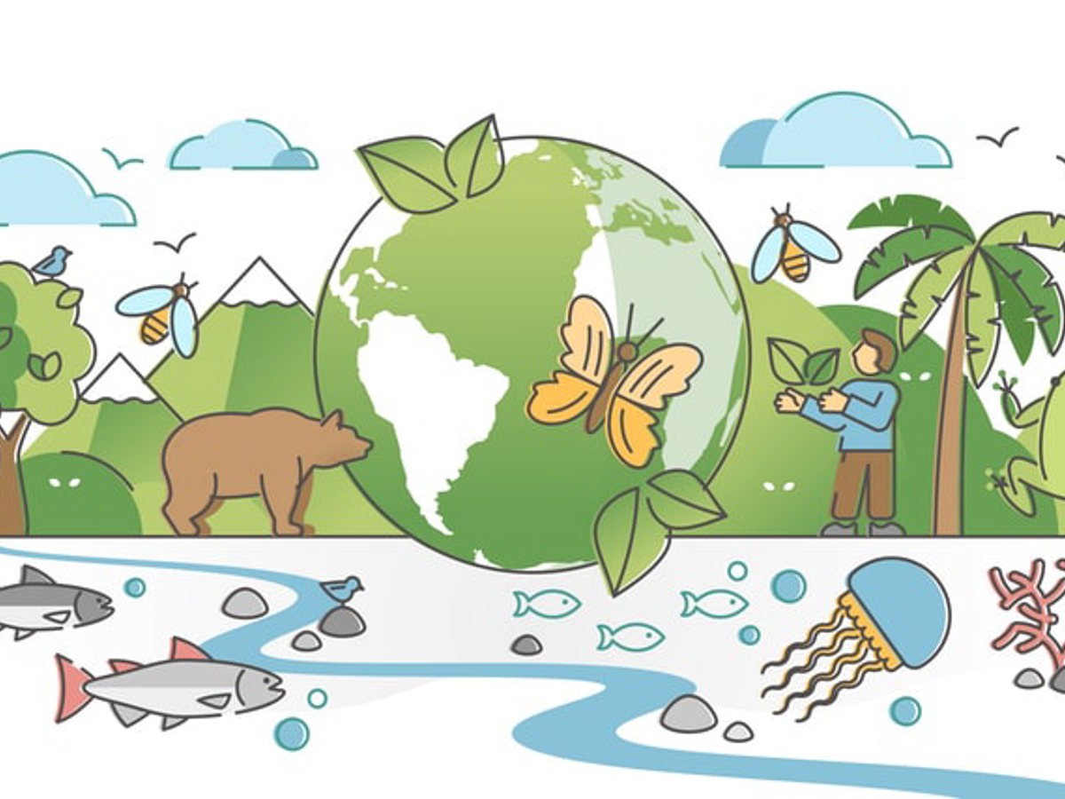 How can we conserve biodiversity? - Image